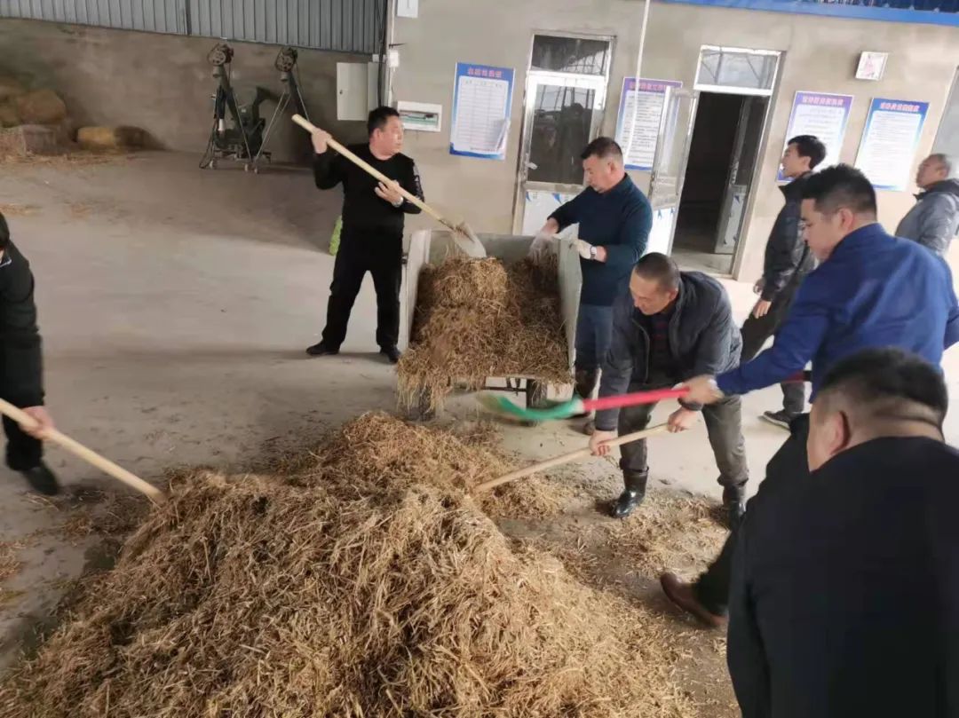 新金宝(中国游)有限公司官网