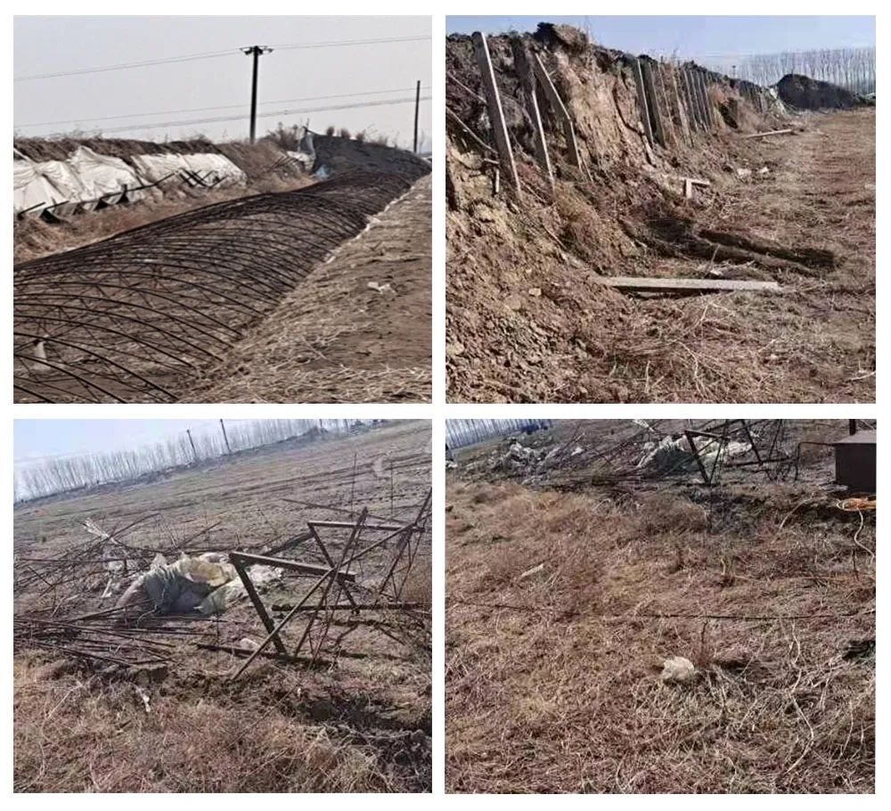 新金宝(中国游)有限公司官网