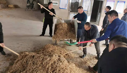 新金宝(中国游)有限公司官网