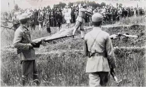 新金宝(中国游)有限公司官网