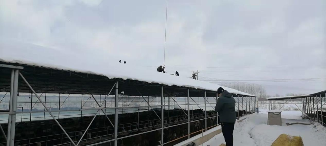 新金宝(中国游)有限公司官网