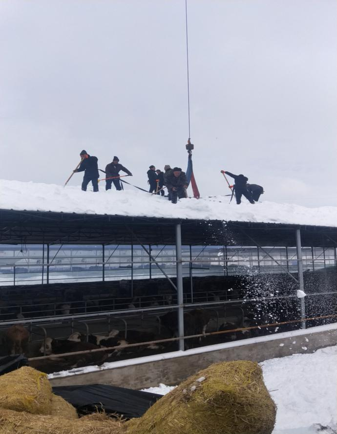 新金宝(中国游)有限公司官网