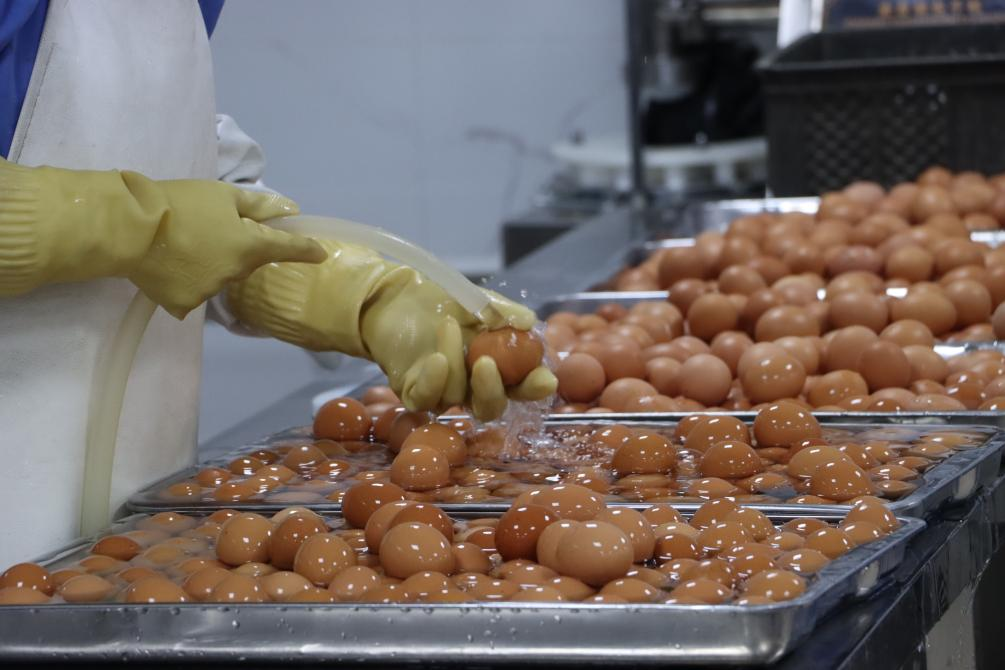 新金宝(中国游)有限公司官网