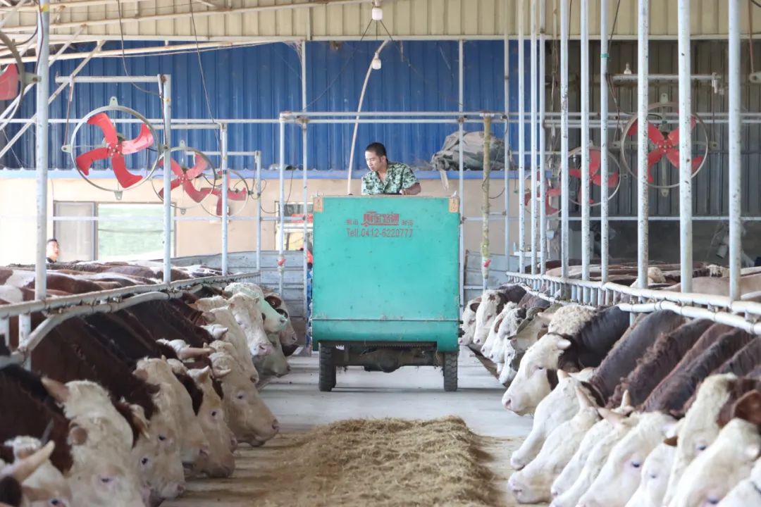 新金宝(中国游)有限公司官网