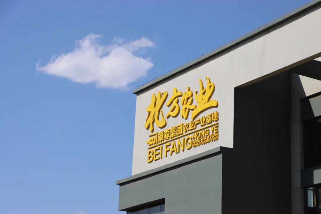 新金宝(中国游)有限公司官网