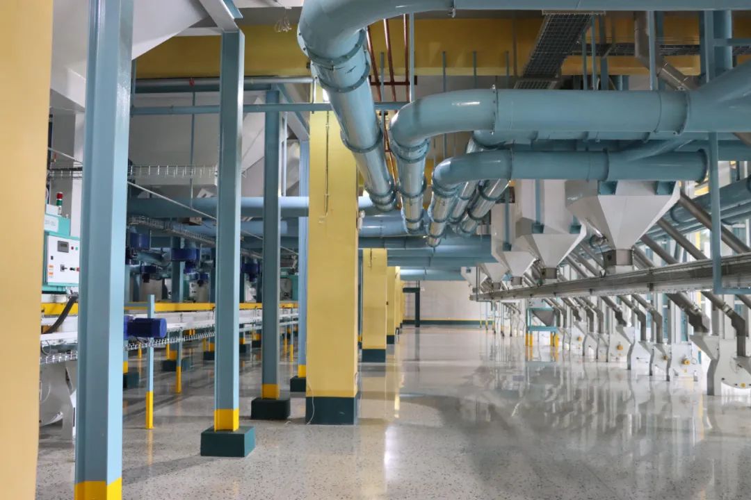 新金宝(中国游)有限公司官网