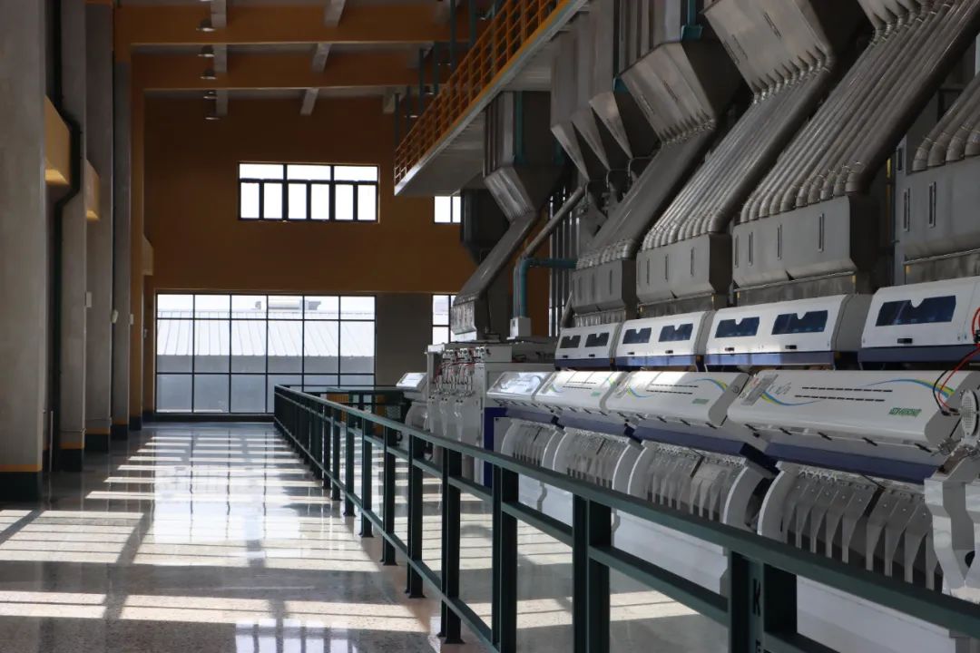 新金宝(中国游)有限公司官网