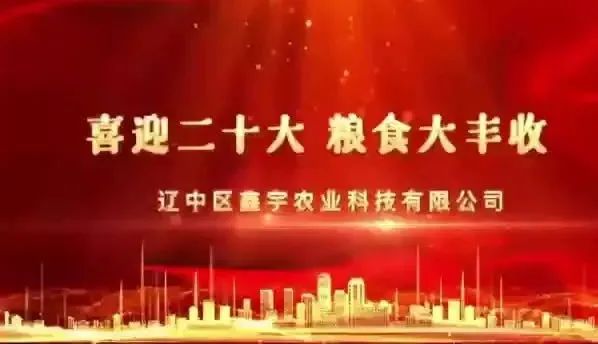 新金宝(中国游)有限公司官网