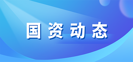 新金宝(中国游)有限公司官网