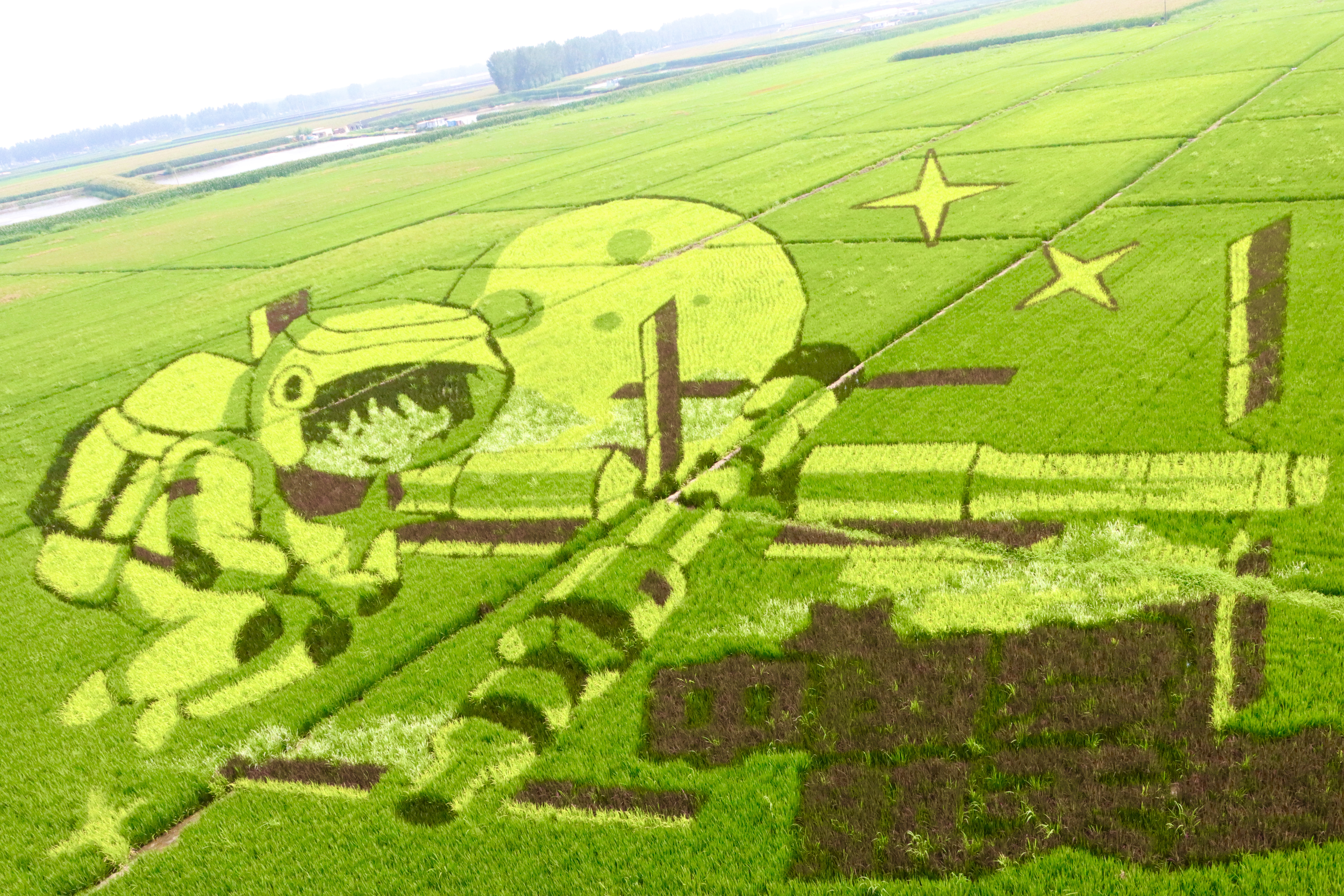 新金宝(中国游)有限公司官网