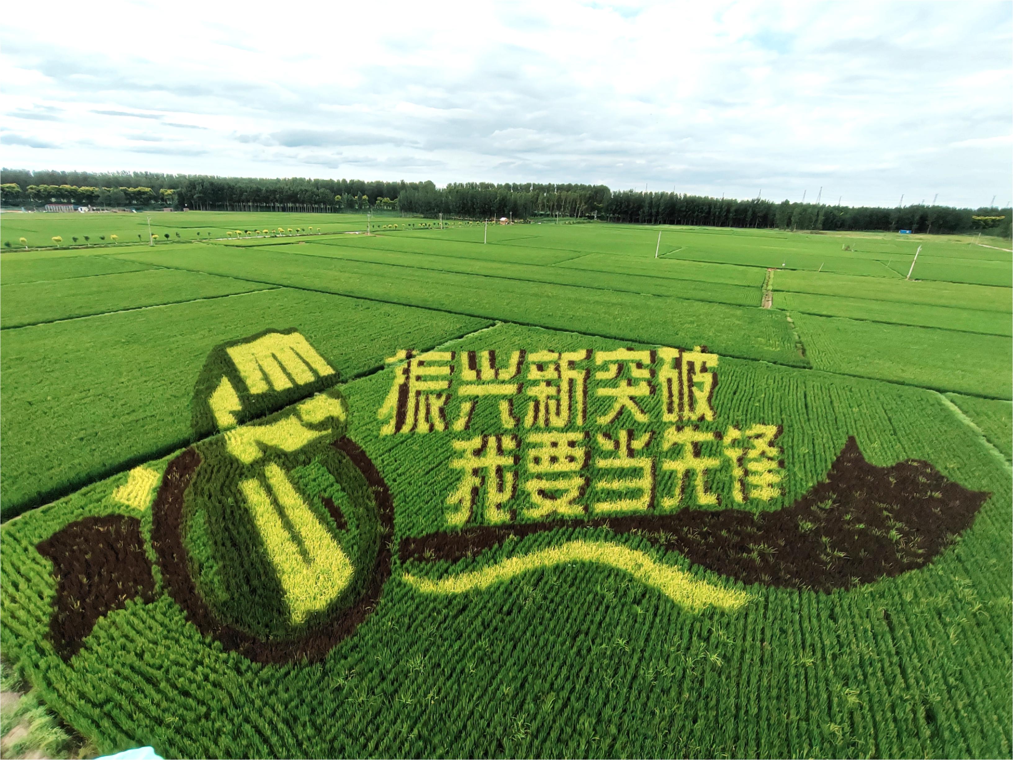 新金宝(中国游)有限公司官网