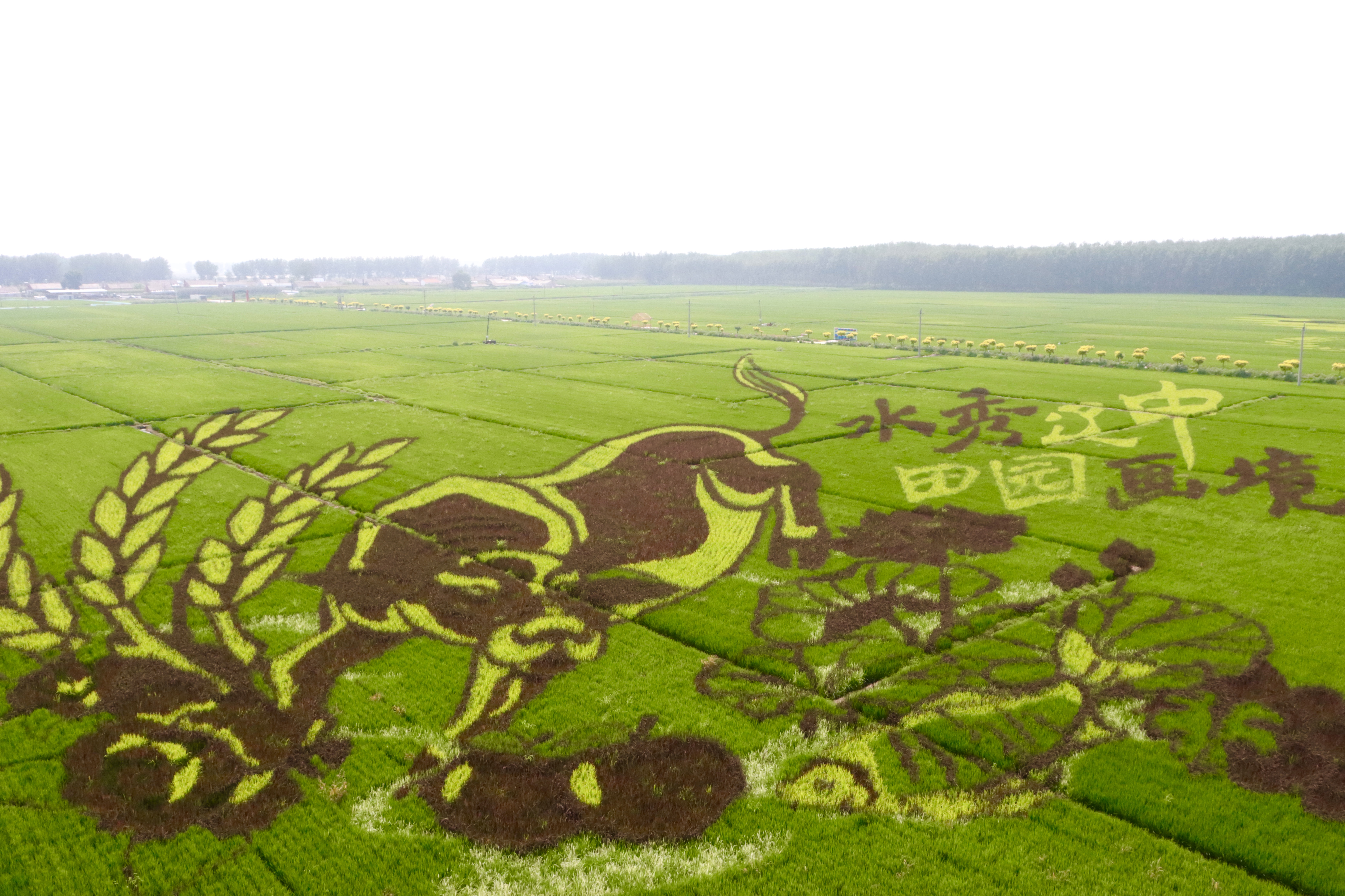 新金宝(中国游)有限公司官网