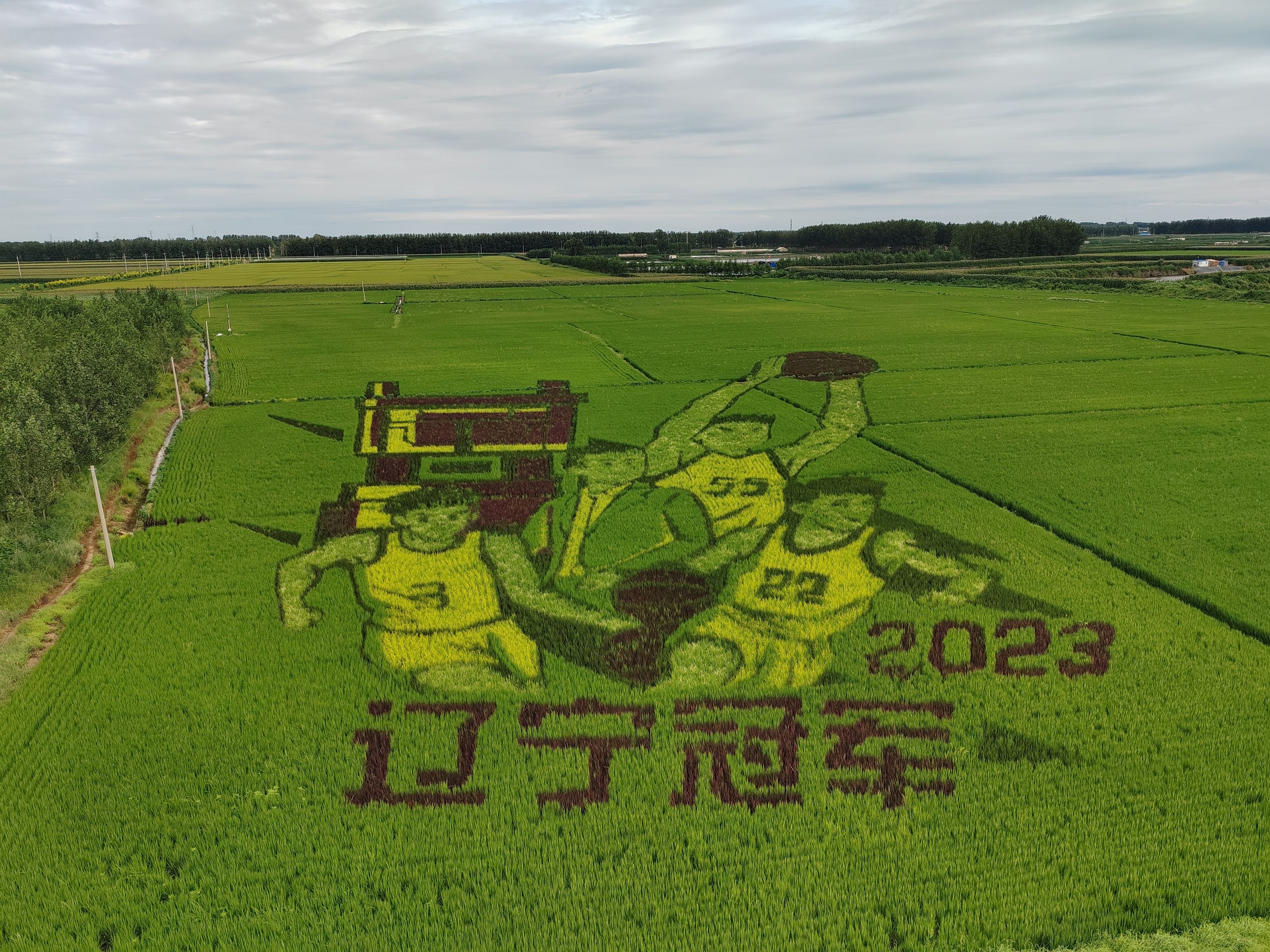 新金宝(中国游)有限公司官网