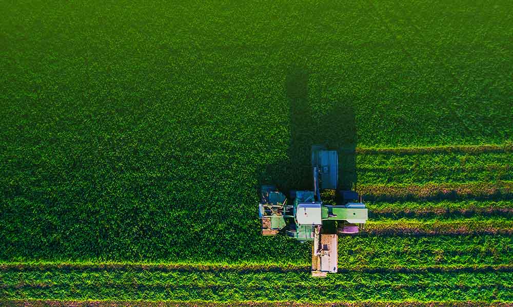 新金宝(中国游)有限公司官网